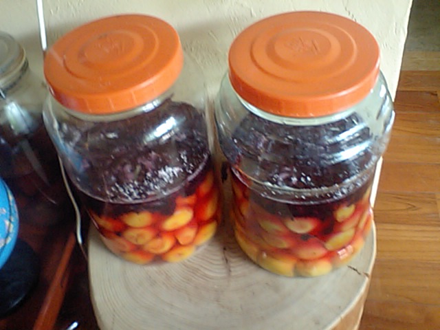 d0150060_2038318.jpg