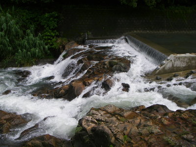 e0181260_21595687.jpg