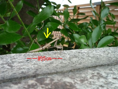 f0177261_16594082.jpg