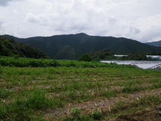 f0055264_21104758.jpg