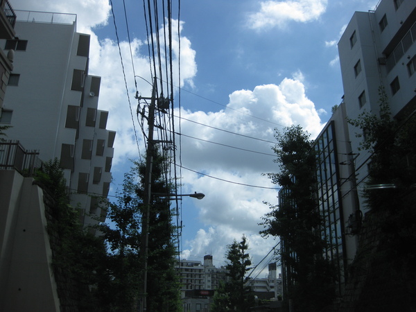 a0143465_1483556.jpg