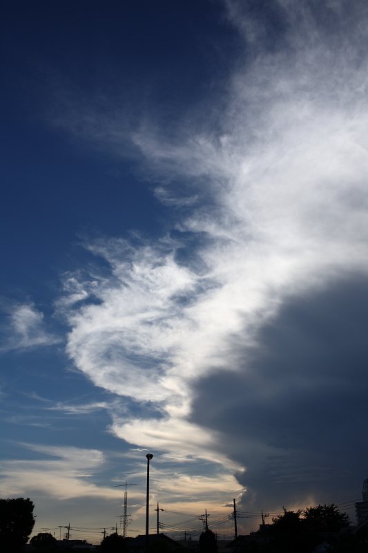 b0027267_2133169.jpg