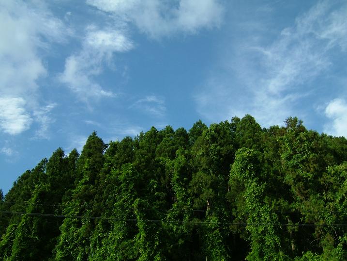 d0183368_22162224.jpg