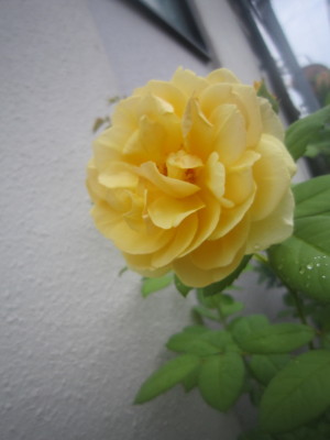 c0202870_9244571.jpg