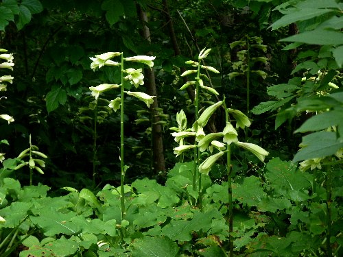 d0084473_20171921.jpg