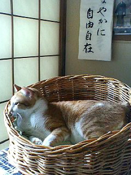 f0054677_824733.jpg