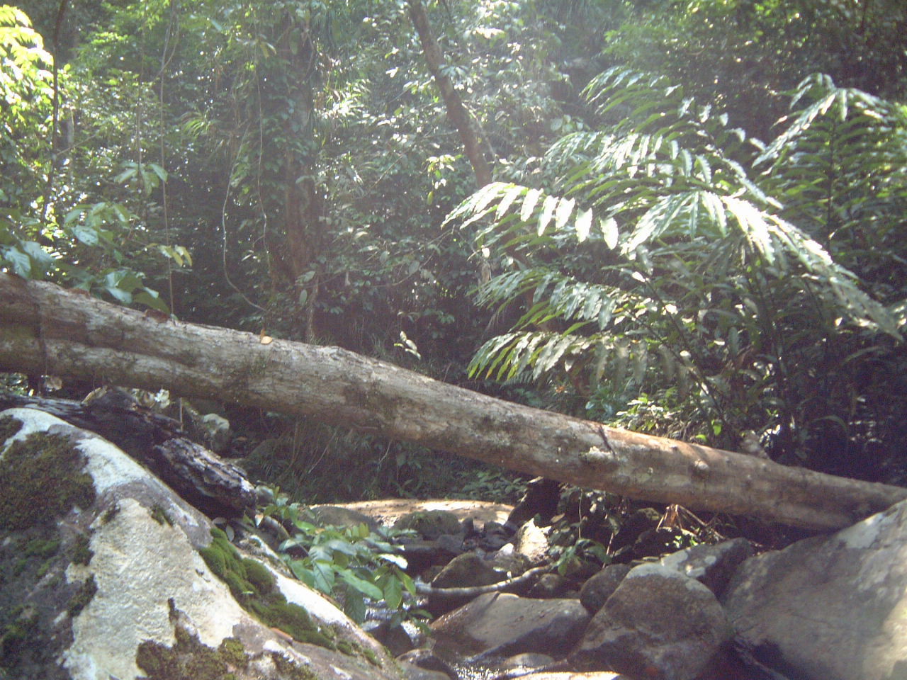 f0016981_1144586.jpg