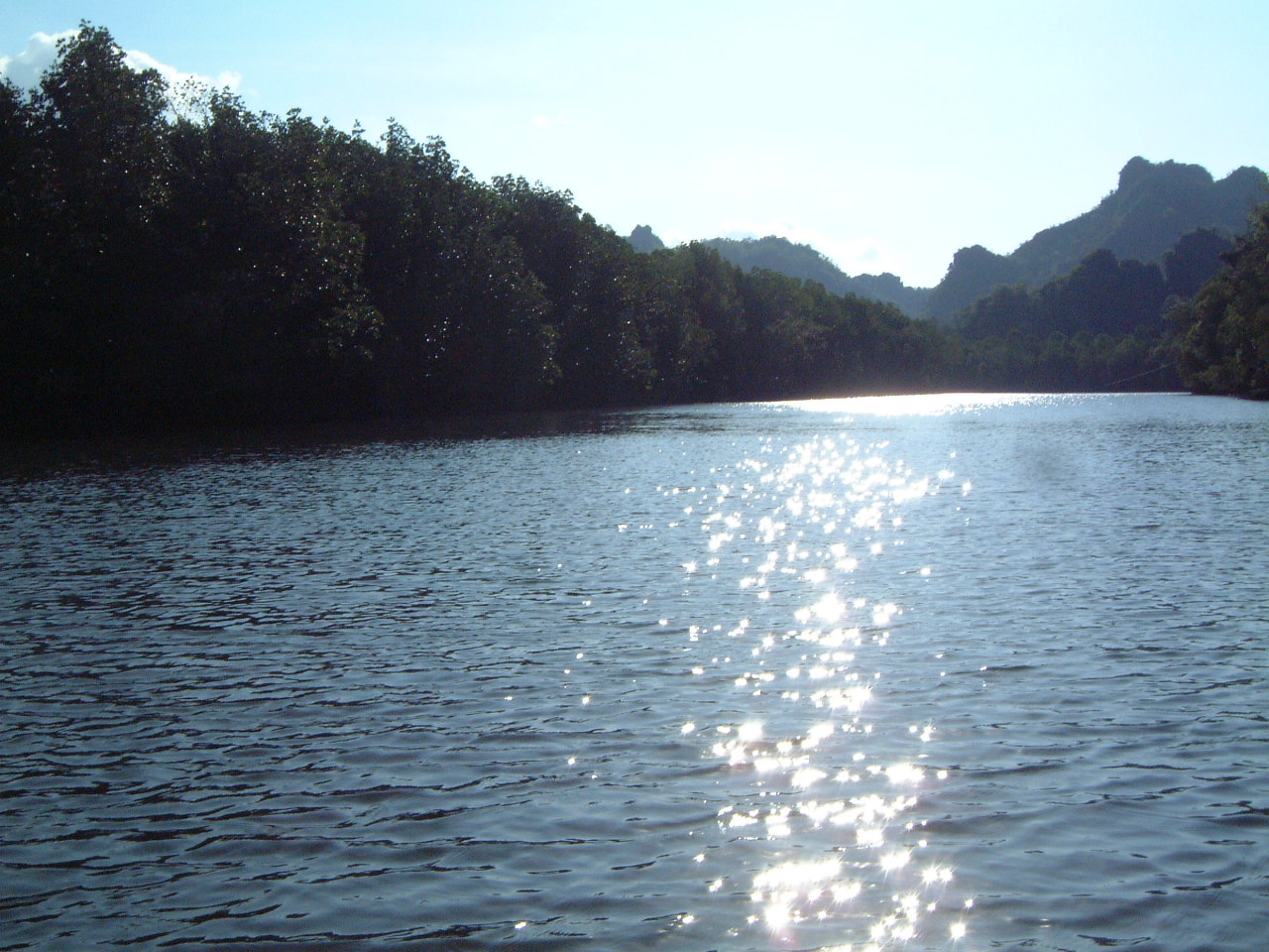 f0016981_1163311.jpg