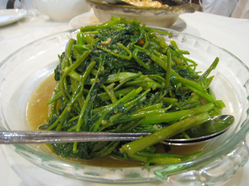 f0068883_1452192.jpg