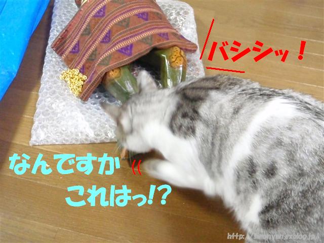 a0159490_16275831.jpg