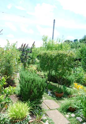 f0155891_114487.jpg