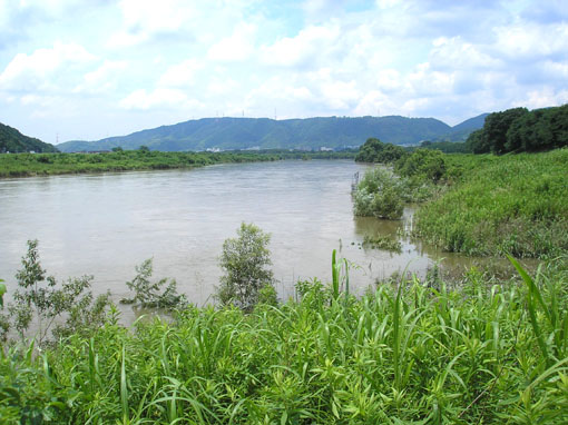 e0083097_234472.jpg