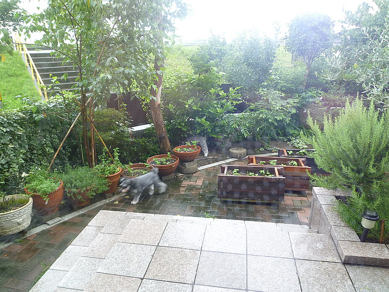 c0138198_17422167.jpg