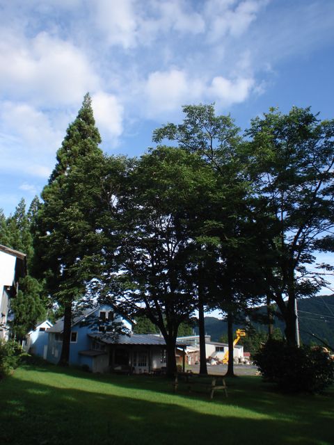 a0061599_7135631.jpg