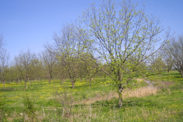 c0062603_13364068.jpg