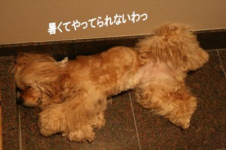 c0128303_14131386.jpg