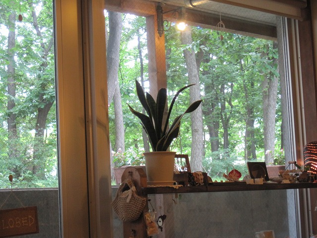 f0202703_23495916.jpg