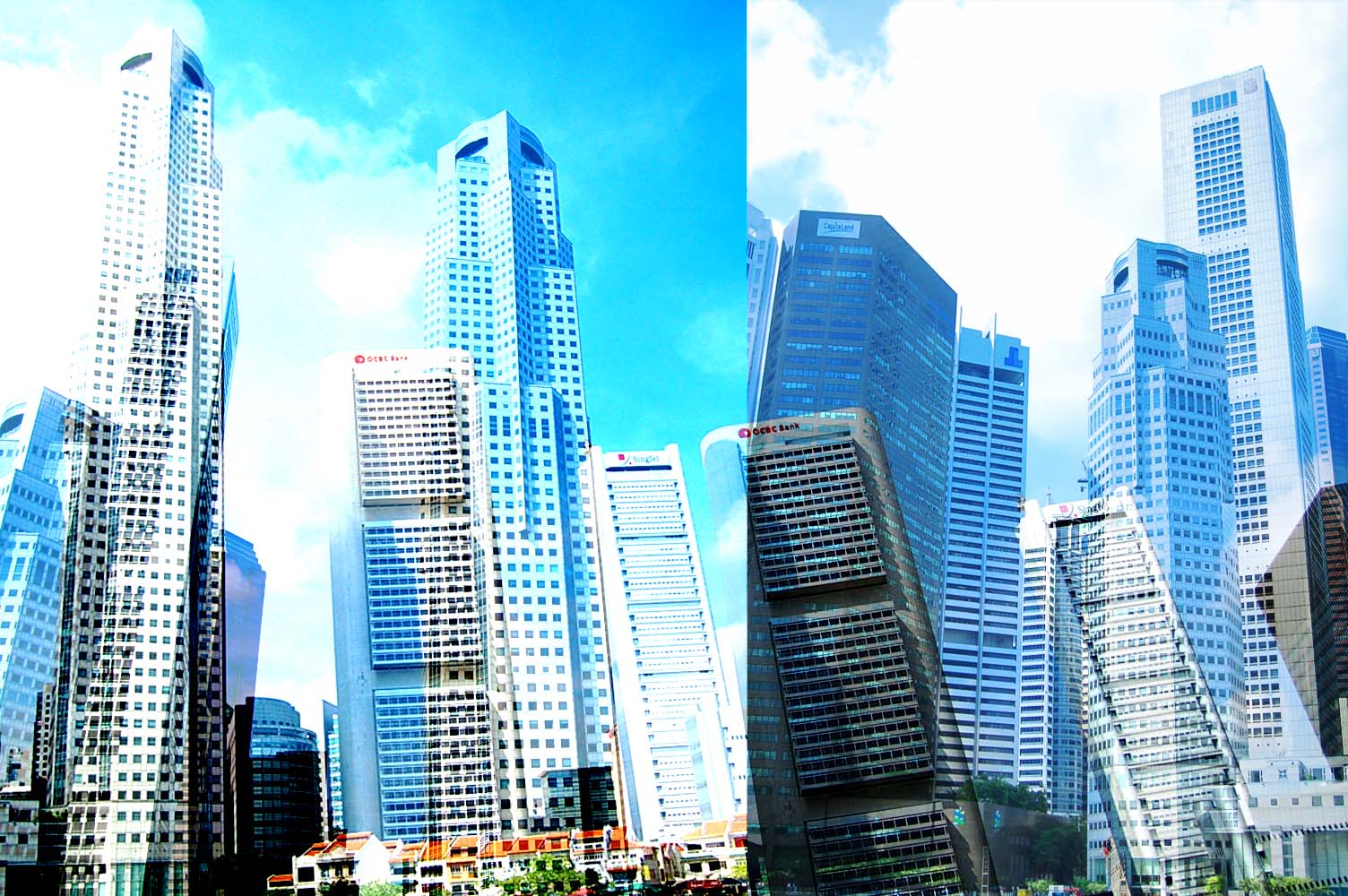 a0157704_16401629.jpg
