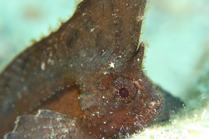 b0110406_9445247.jpg