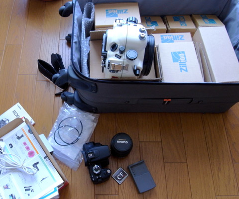 b0110406_95135.jpg