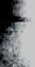 e0103408_13203877.gif