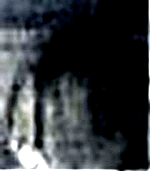 e0103408_132159.gif