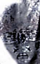 e0103408_13223161.gif