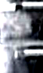 e0103408_132254.gif