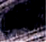 e0103408_13225640.gif
