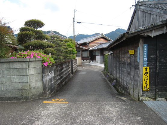 d0154609_1031413.jpg