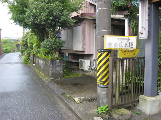 d0154609_943348.jpg