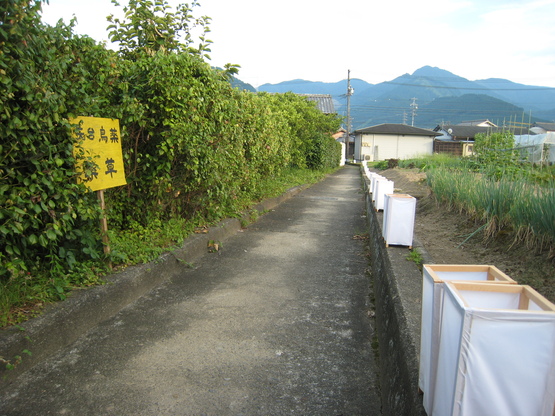 d0154609_9491518.jpg