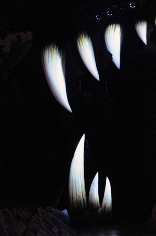 e0177509_22461369.jpg