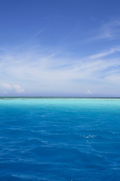 d0157810_13163.jpg