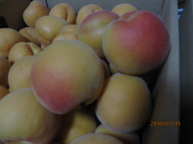 c0200916_16223650.jpg