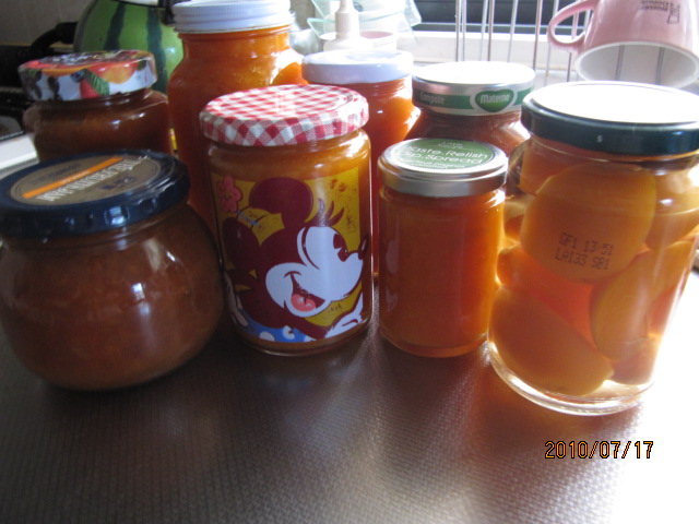 c0200916_16302674.jpg