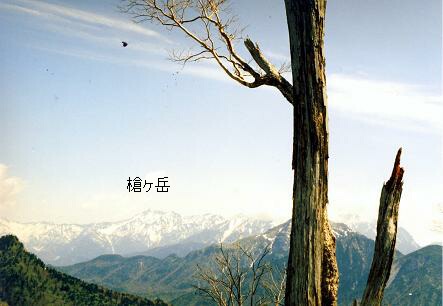 f0000521_10483965.jpg