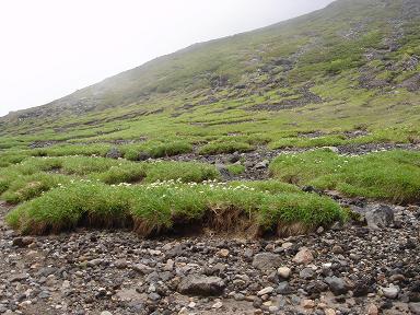 f0000521_8113251.jpg