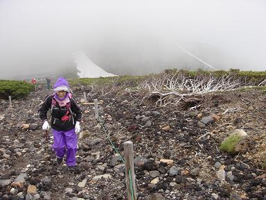 f0000521_8292490.jpg