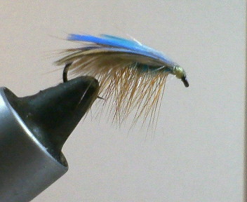 b0108729_6363558.jpg