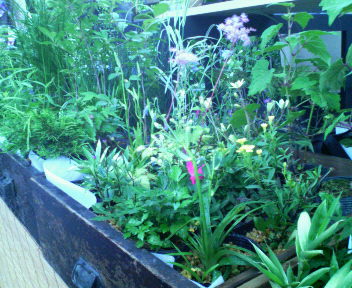 d0014133_03515100.jpg