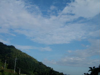 a0054240_222587.jpg