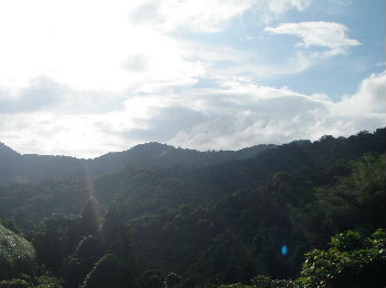 a0054240_2231727.jpg