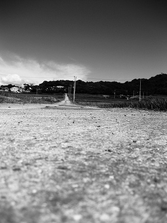 b0168041_12103129.jpg