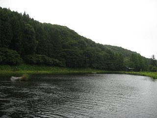 f0065341_10392021.jpg