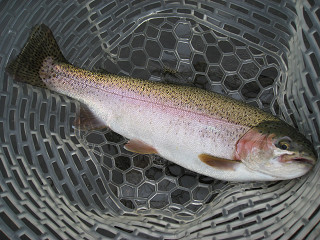 f0065341_10413220.jpg