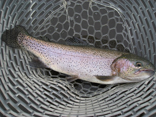 f0065341_1042173.jpg