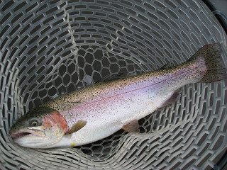 f0065341_10424897.jpg