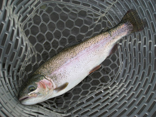 f0065341_104349.jpg