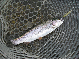 f0065341_1045495.jpg